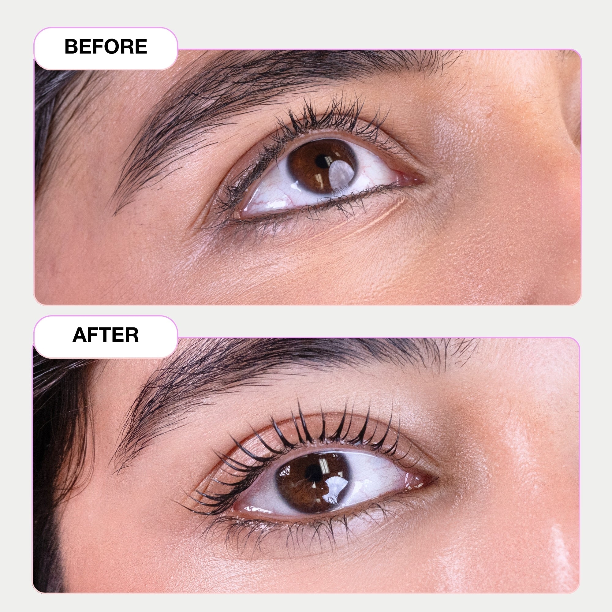Boucliers de rehaussement des cils - Sunny Anime