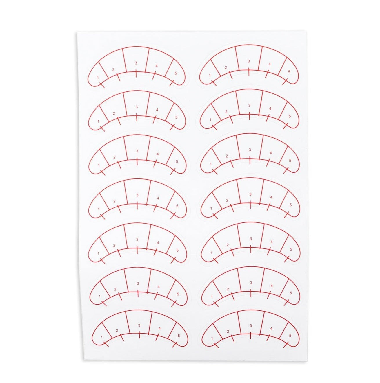 Lash map sticker on a white background.