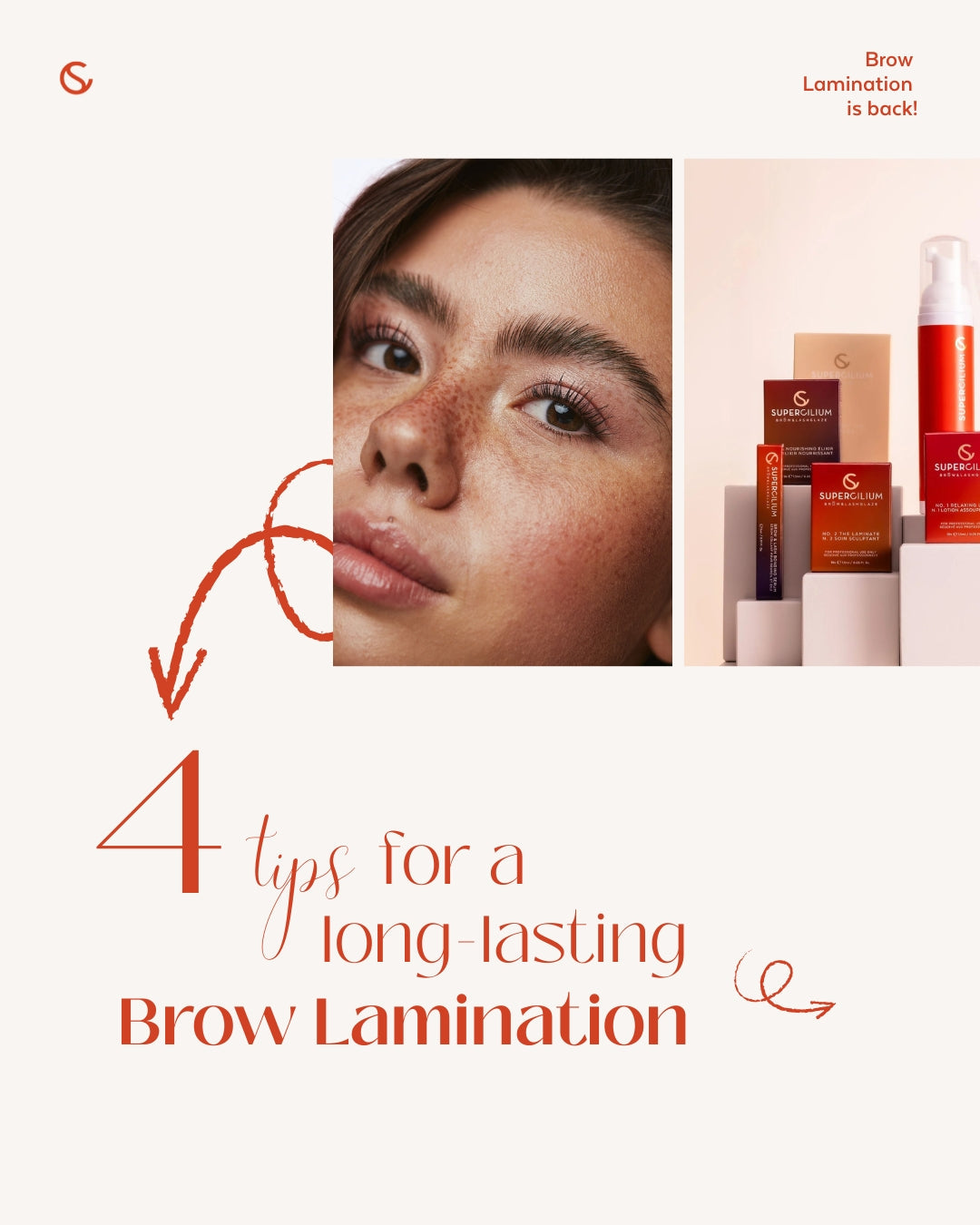 Supercilium No.2 The Laminage – Lamination des sourcils & Rehaussement des cils