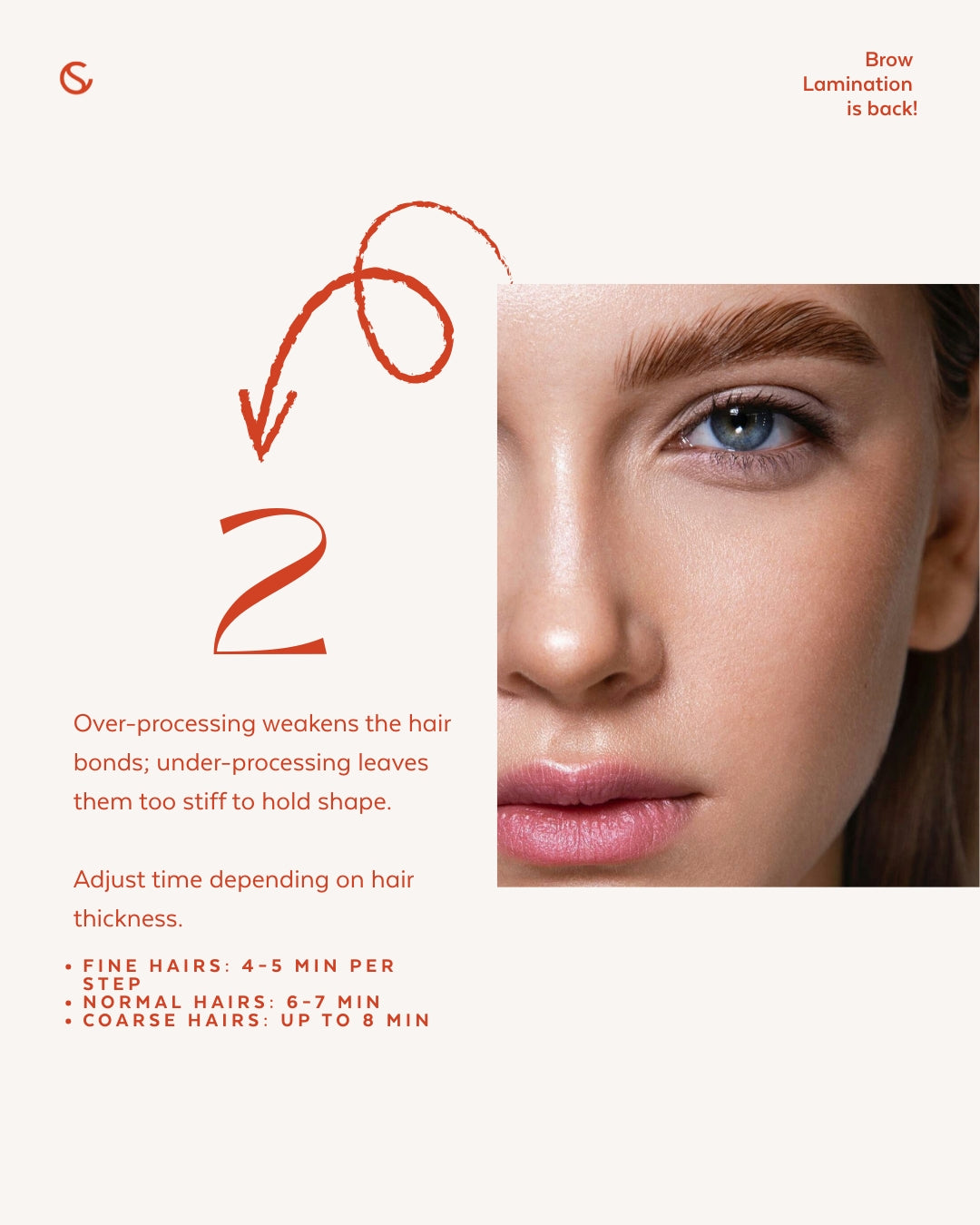 Supercilium No.2 The Laminage – Lamination des sourcils & Rehaussement des cils