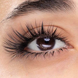 Cils Autofloraison Easy Fan multicouches