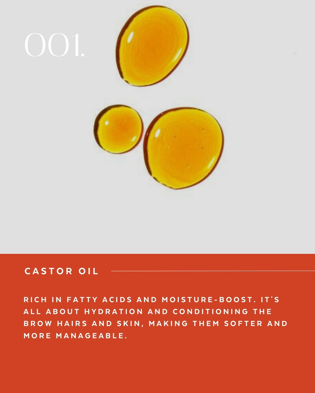 Supercilium SNAP Teinture Gel – Brun clair