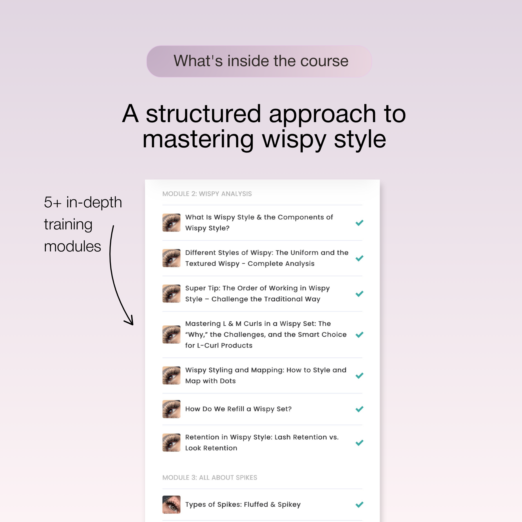 Online Training Wispy Lash Extension Course