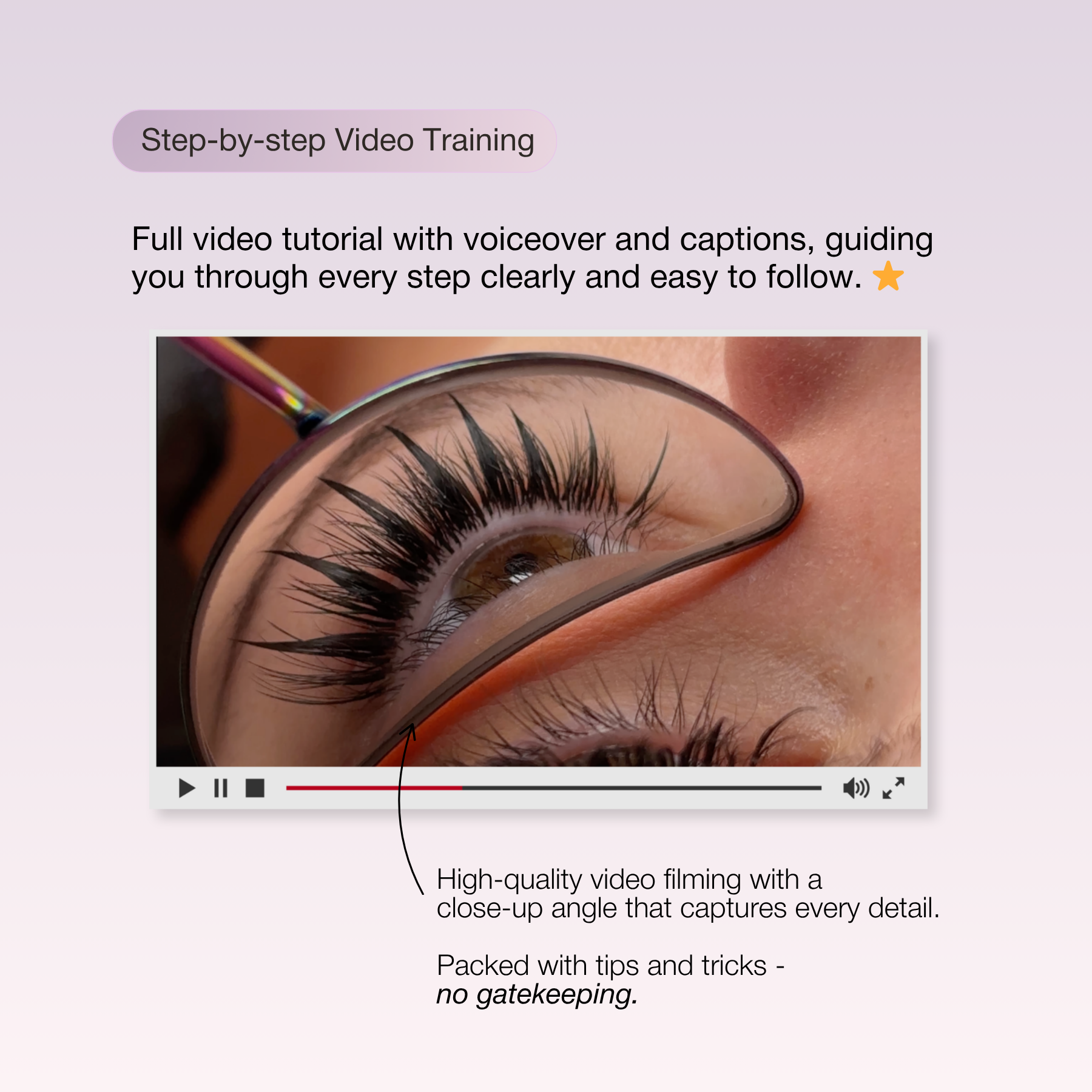 Online Training "Anime and Beyond" Lash Extension Course