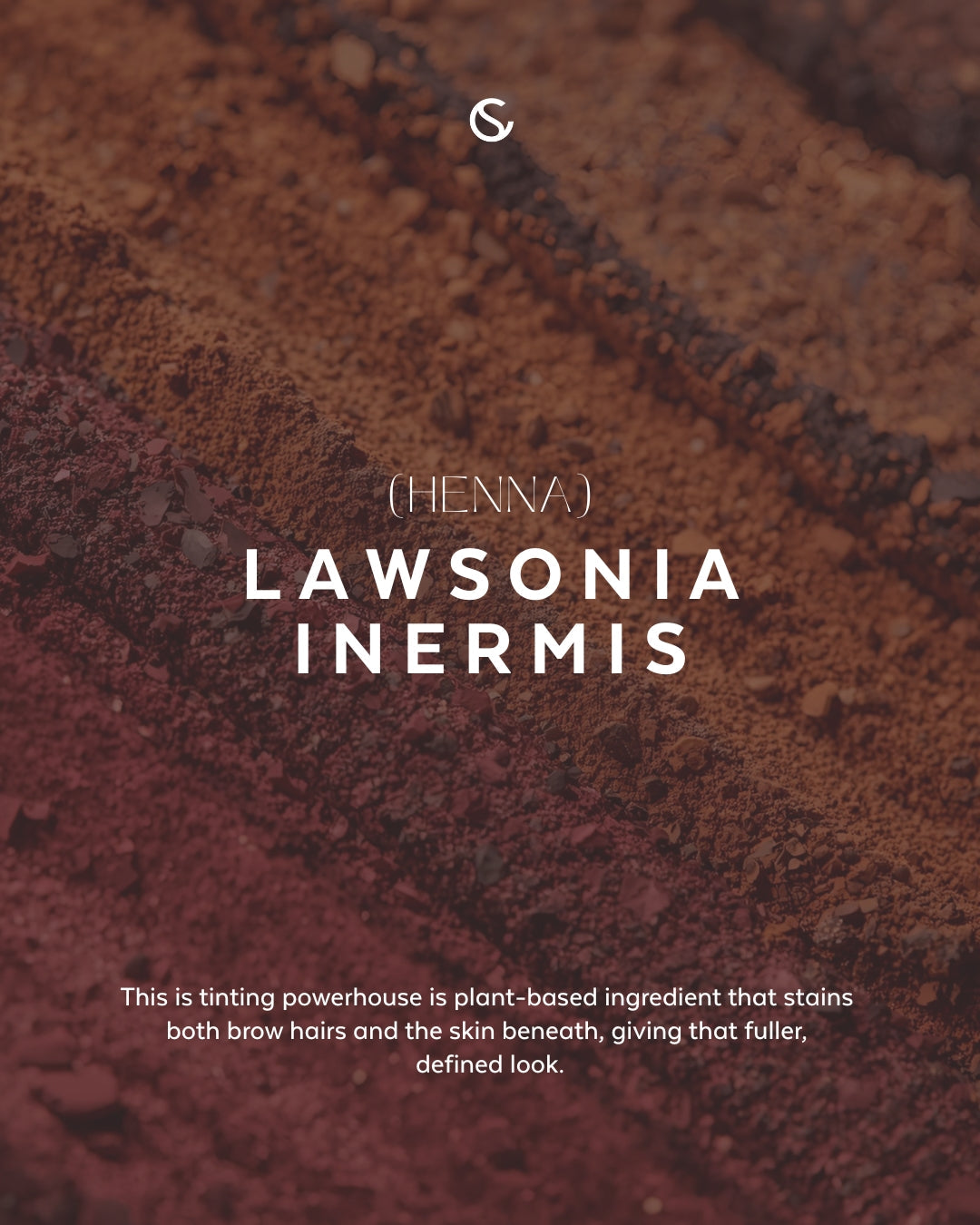 Supercilium Brow Henna – Teinte noire