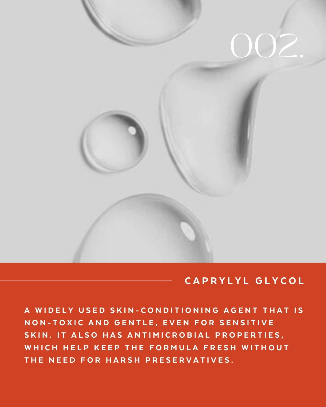 Supercilium SNAP Teinture Gel – Kit de démarrage