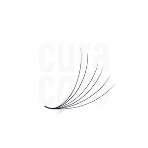 Close-up of a 6D lash fan in Black, showcasing the precise curvature and symmetrical arrangement for seamless lash extension applications.
