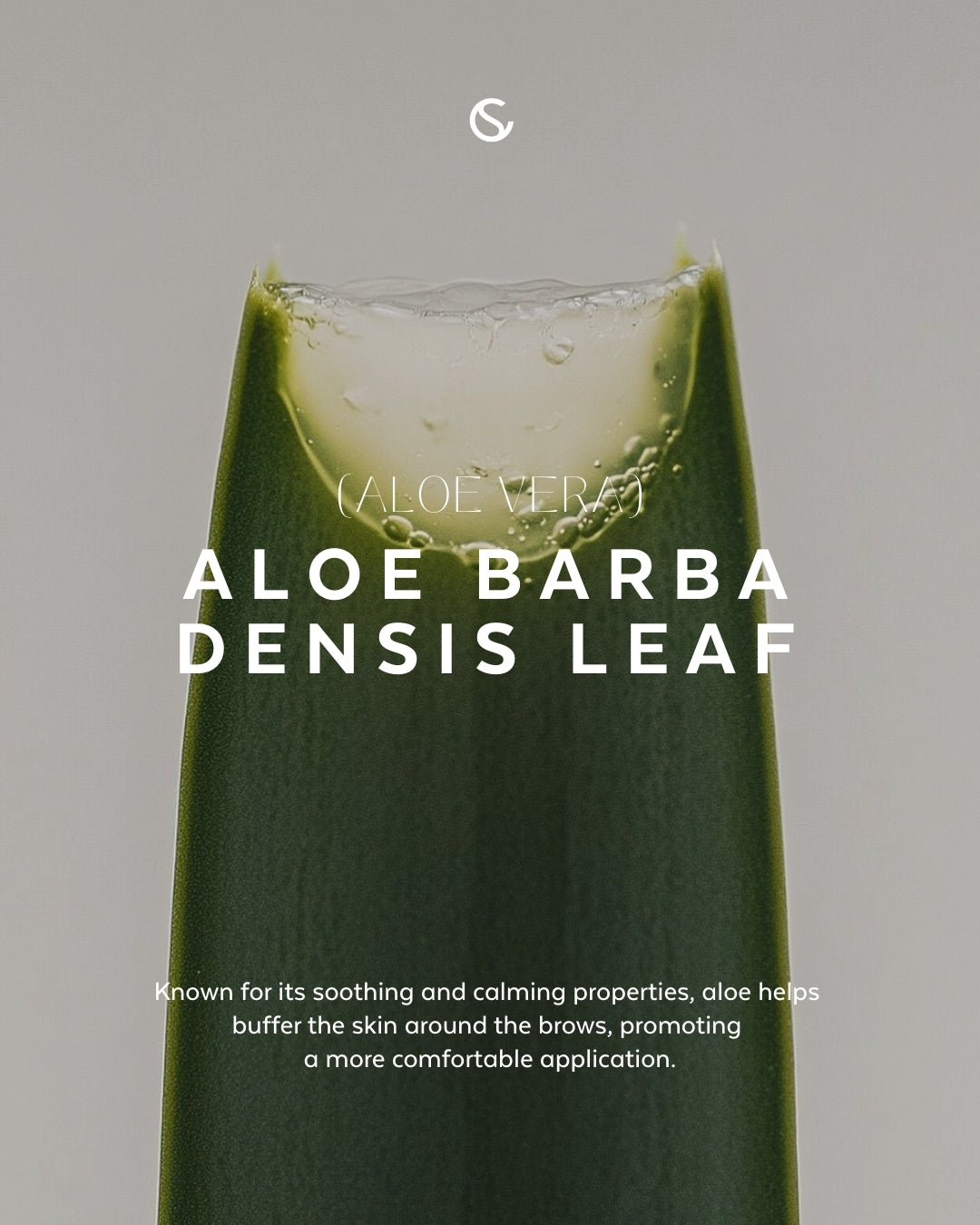 Supercilium Brow Henna – Teinte brun clair