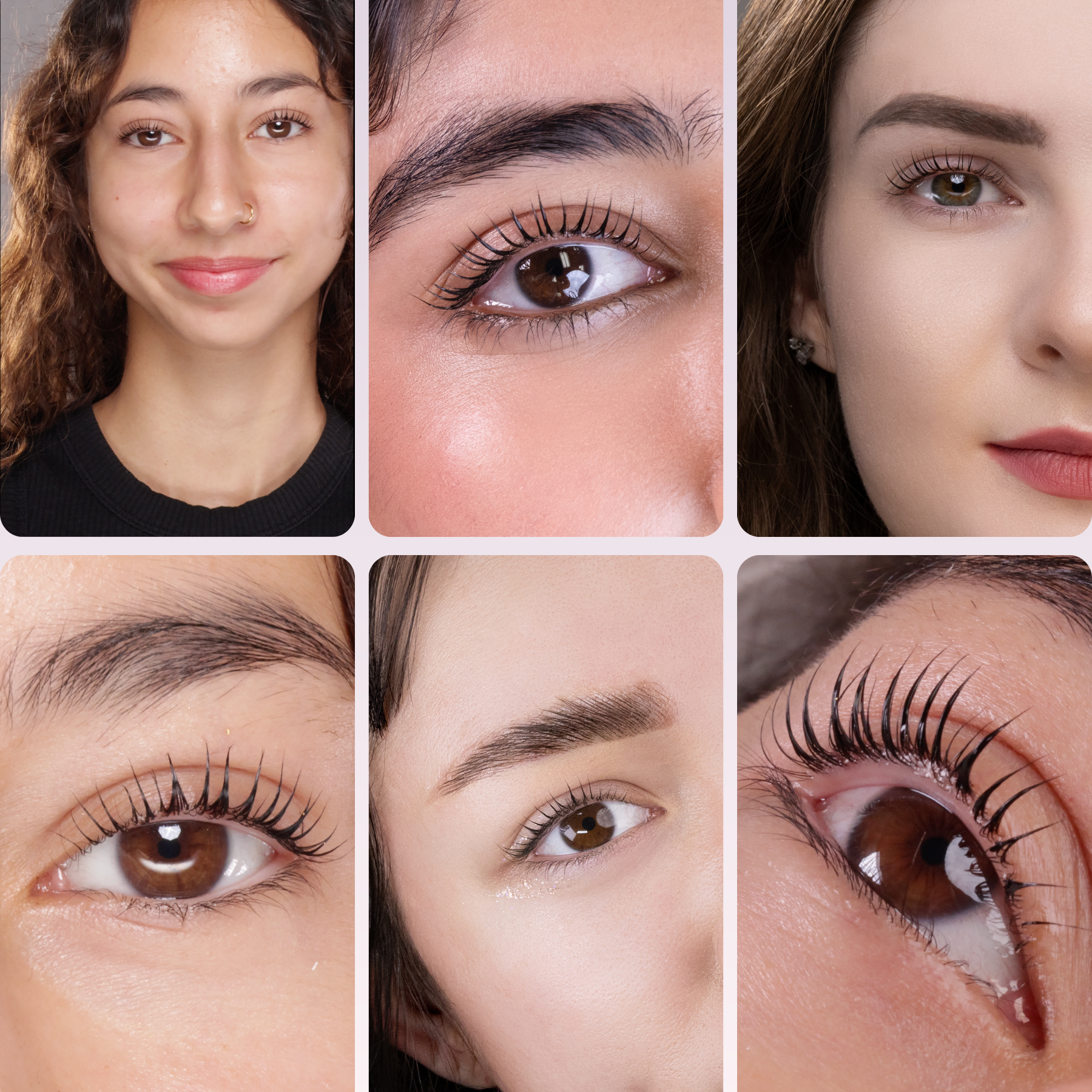 Lash Lift Mastery: From Beginner to Pro ! Online Certification (Fundamental + Traditional + Tutorial of Korean Lash Lift Method)