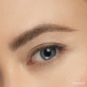 Ash Brown Brow Pigment demonstrated on model&