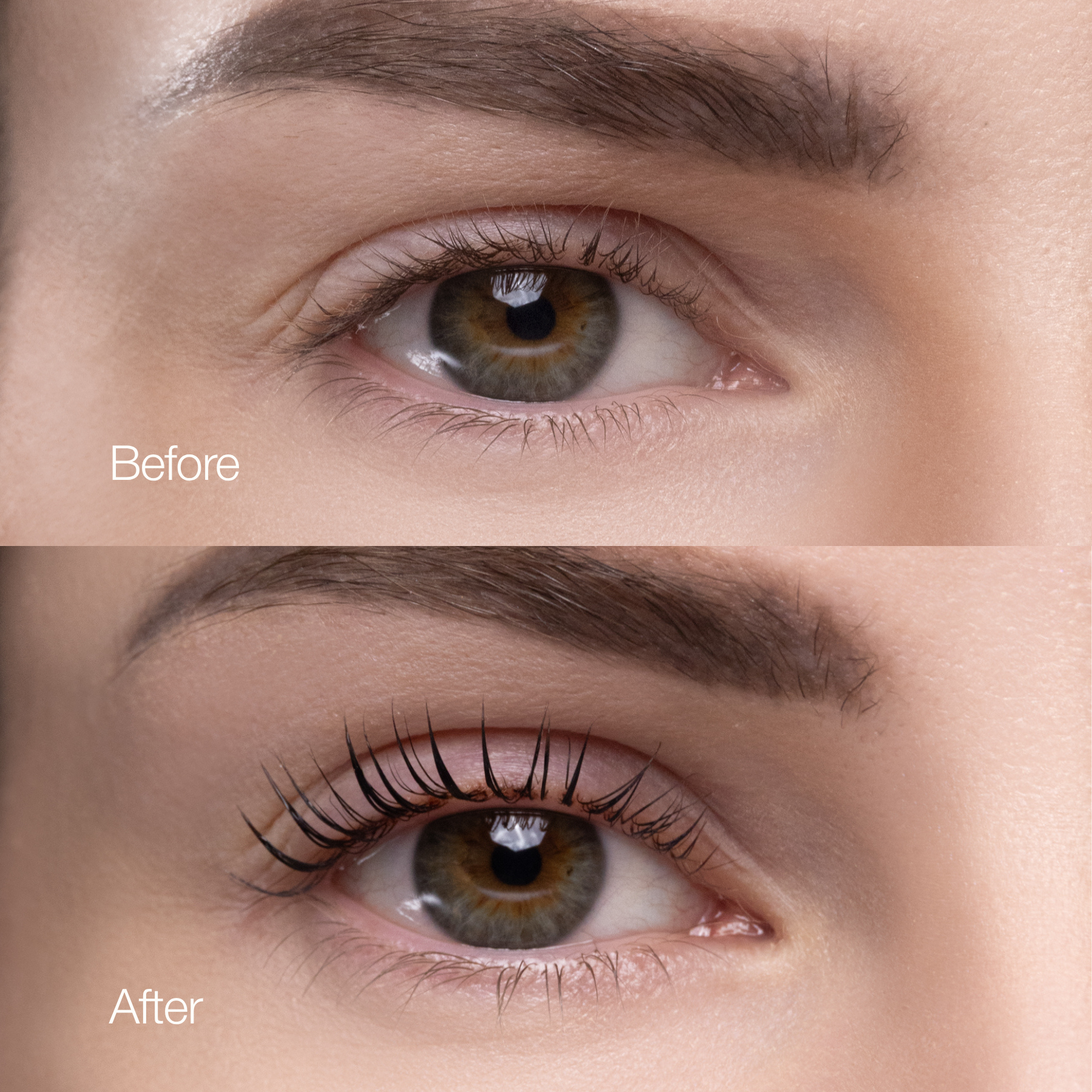 Lash Lift Mastery: From Beginner to Pro ! Online Certification (Fundamental + Traditional + Tutorial of Korean Lash Lift Method)
