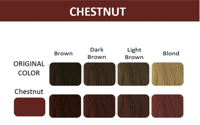 Color chart showcasing Thuya Chestnut dye results on original hair shades: brown, dark brown, light brown, and blond.