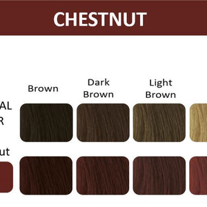 Color chart showcasing Thuya Chestnut dye results on original hair shades: brown, dark brown, light brown, and blond.