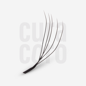 Cils 5D en forme de U (Clover)