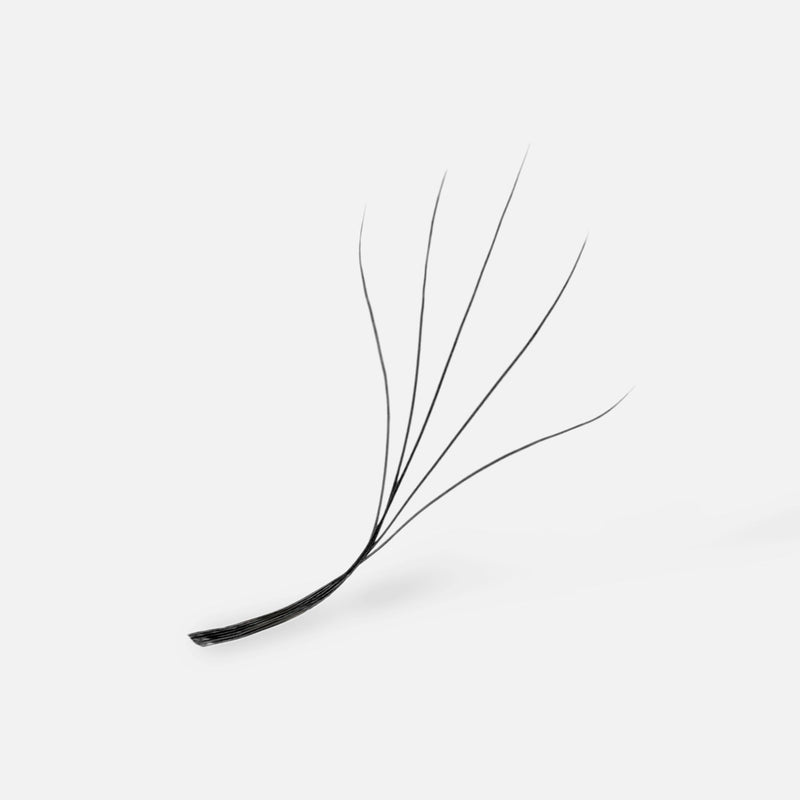 A single black 5D Blooming Clover lash extension with five delicate strands fanning out from a flat base, designed for creating voluminous lash looks.