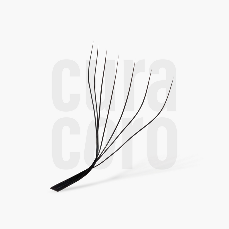 Cils Clover | 7D 0.07