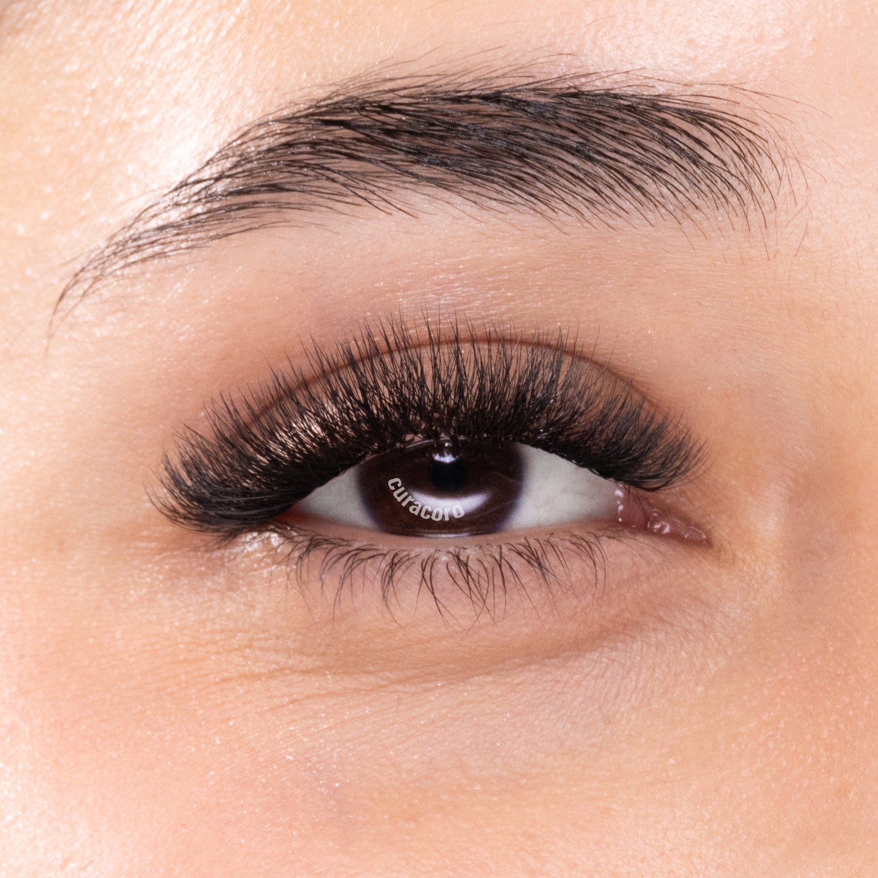 Cils Clover | 7D 0.07