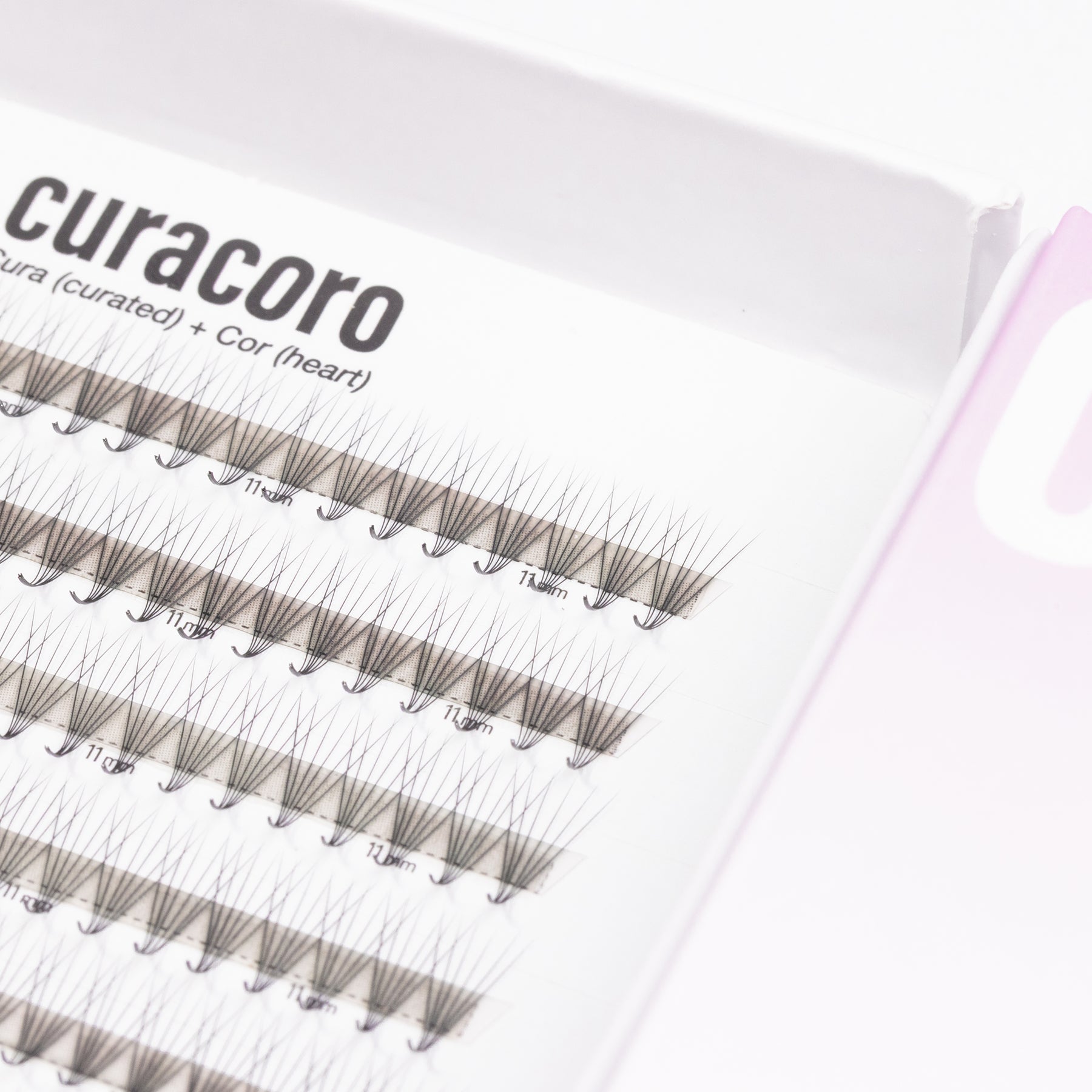 LashFolio Promade Fans 6D 0,07 – Courbure M (504 bouquets)