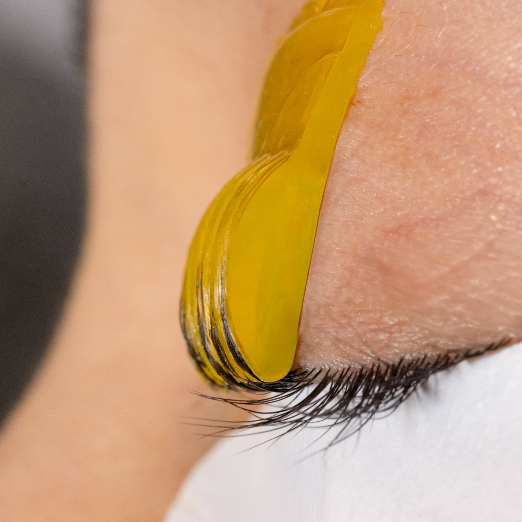 Boucliers de rehaussement des cils - Sunny Anime