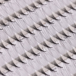 Bouquets Préfaits Étroits | LashFolio 10D 0.03 (480 éventails de cils)