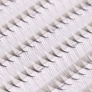 Bouquets Préfaits Étroits | LashFolio 6D 0.05 (504 éventails de cils)