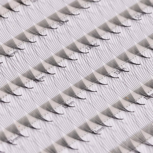 Bouquets Préfaits Étroits | LashFolio 8D 0.05 (480 éventails de cils)