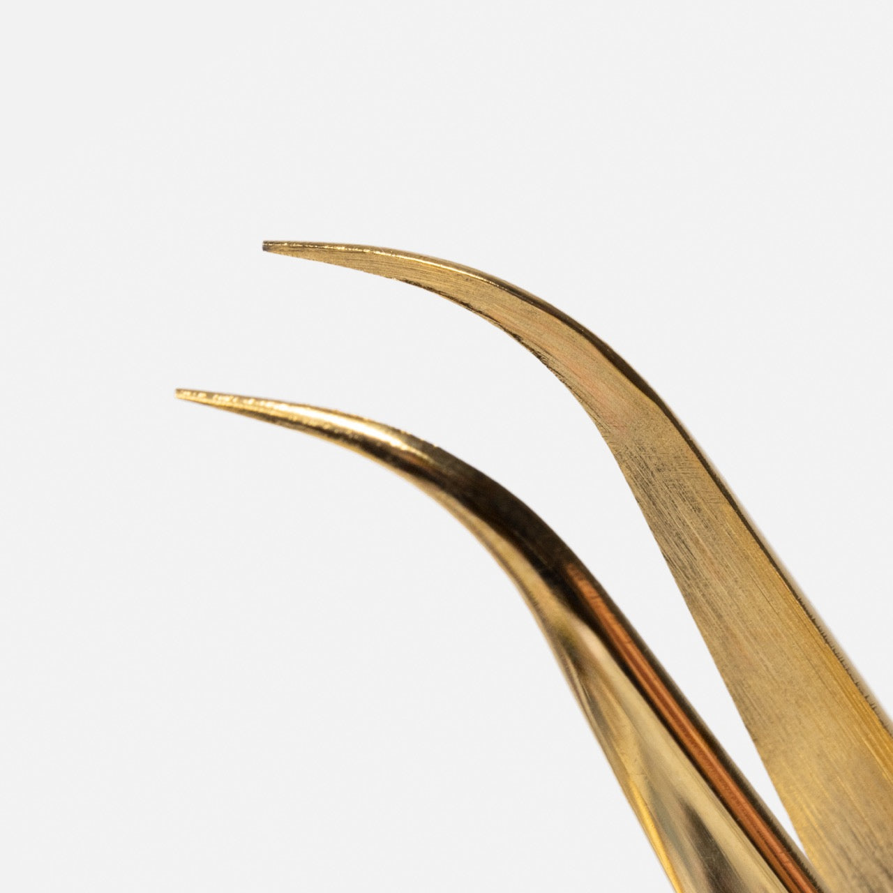 Lashy and Classy Tweezer