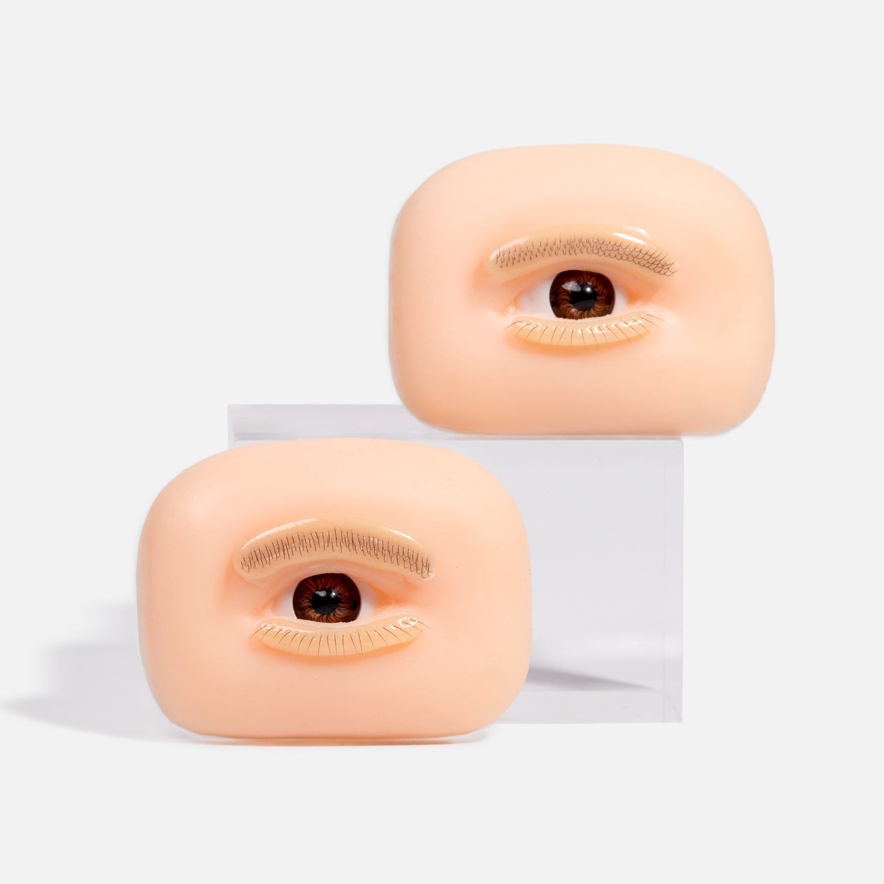 Eye Practice Model for Lash Training | Realistic Eyelash Simulation – Curacoro