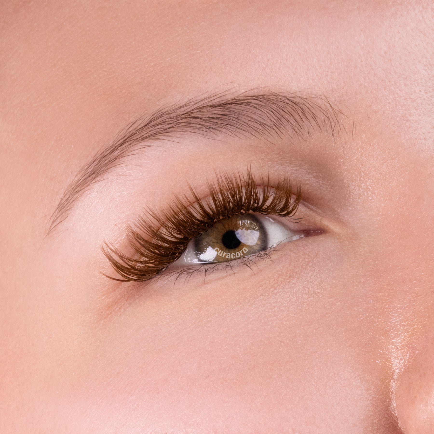 Bouquets Préfaits Fermés Effet Mouillé | LashFolio 5D 0.07 (1440 éventails de cils) - Brun