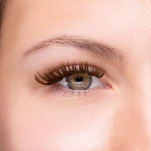 Bouquets Préfaits Fermés Effet Mouillé | LashFolio 5D 0.07 (1440 éventails de cils) - Brun