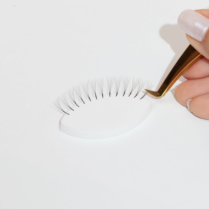 Golden tweezer lifting a lash from a White Lash Practice Sponge, over a white background. 