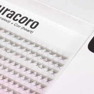 Plateau Jumbo Économique XL Promade 8D 0.05 (1000 bouquets)