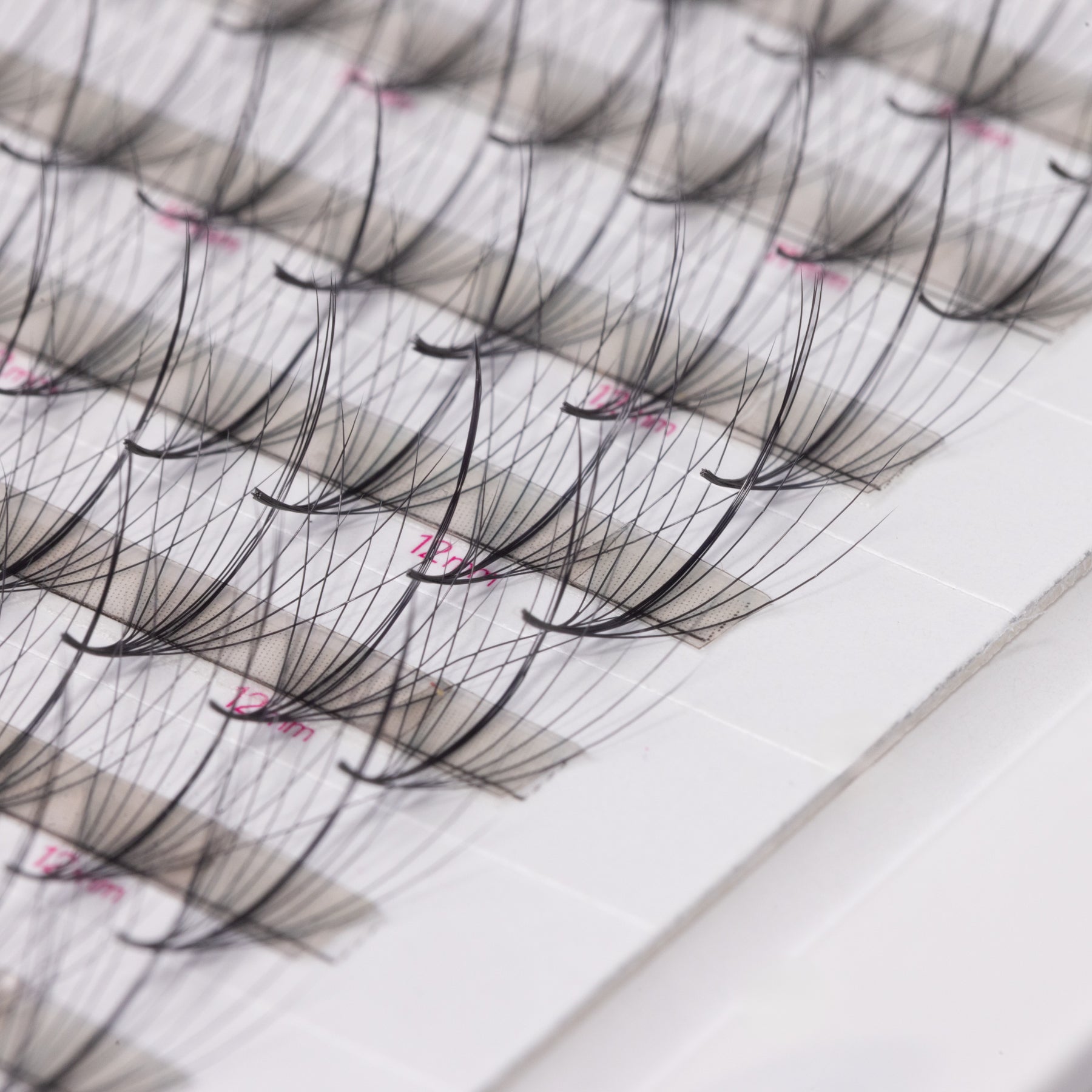 XL Lite Camelia + Wispy 9D 0.05