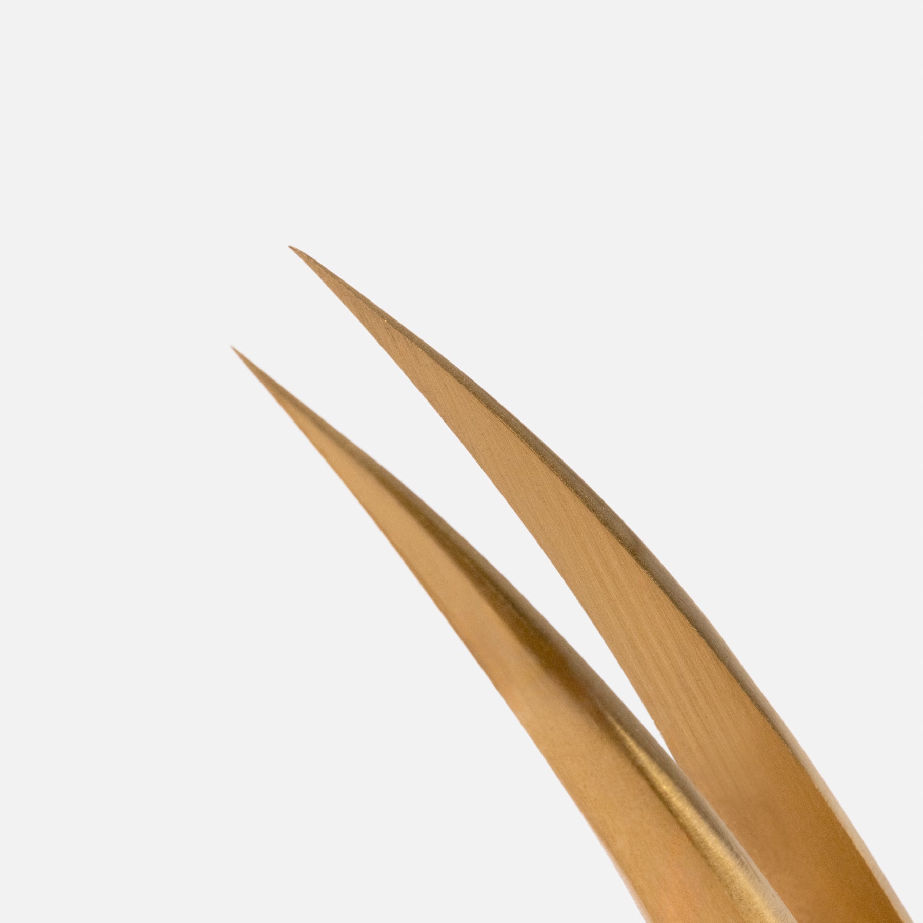 Moonlight Curve Isolation Tweezer – Precision Lash Tool | Curacoro