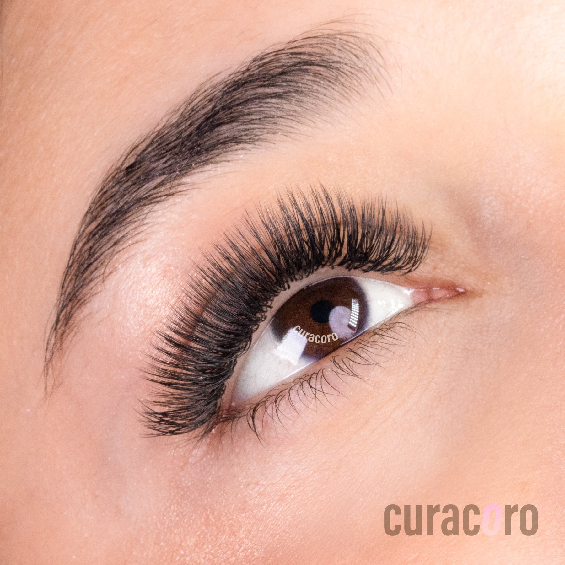Cils W-6D en forme de U