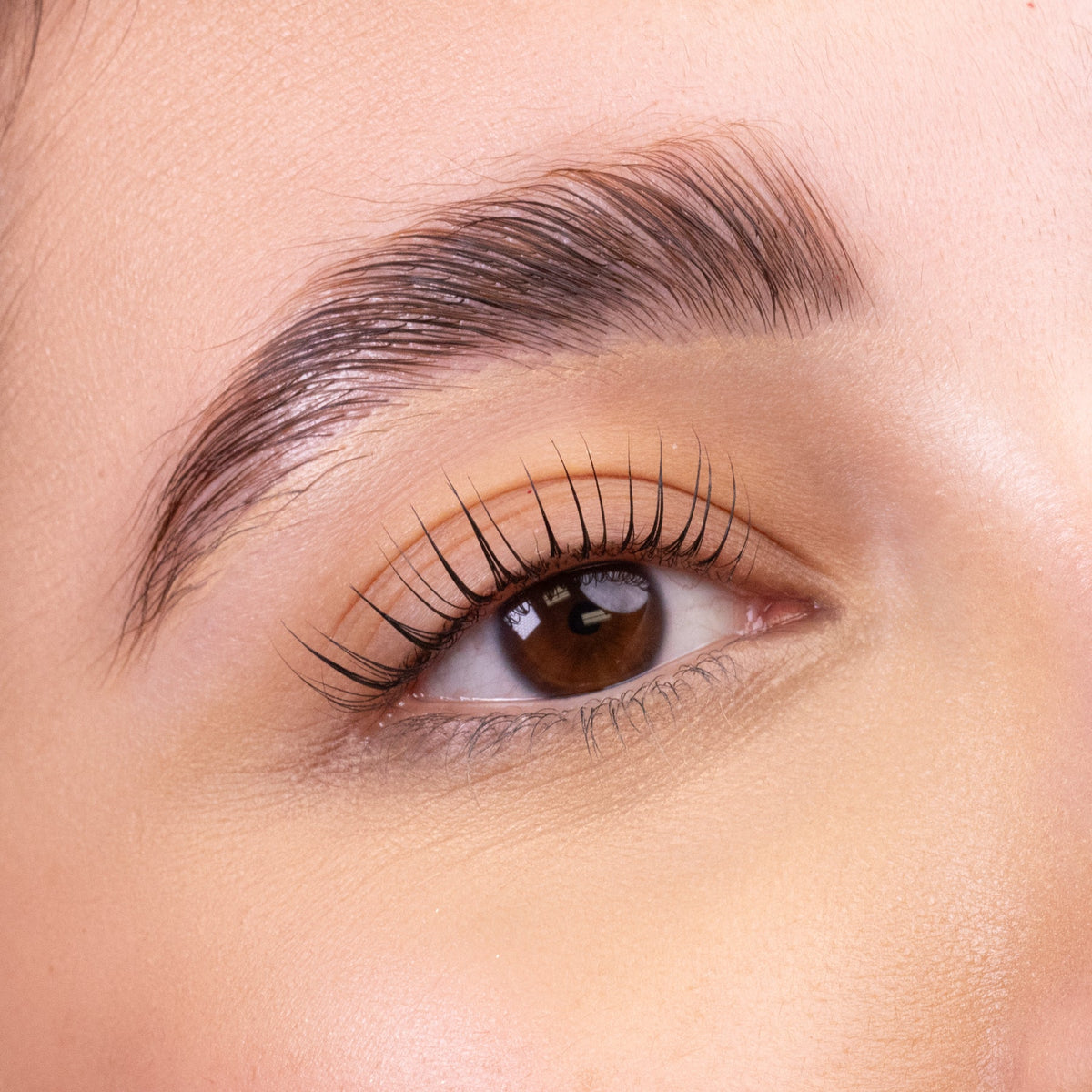 Customer result