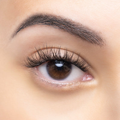 Close-up of an eye showcasing long, voluminous lashes with a natural, soft curl effect, highlighting the application of lash extensions for a fuller look.