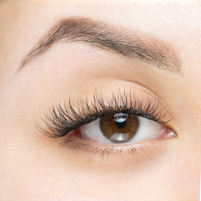 Close-up of an eye showcasing long, voluminous lashes with a natural, soft curl effect, highlighting the application of lash extensions for a fuller look.