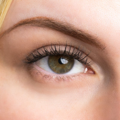 Close-up of an eye showcasing long, voluminous lashes with a natural, soft curl effect, highlighting the application of lash extensions for a fuller look.