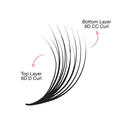 Illustration showing a double-layer eyelash extension with labeled top layer as "6D D Curl" and bottom layer as "4D CC Curl.