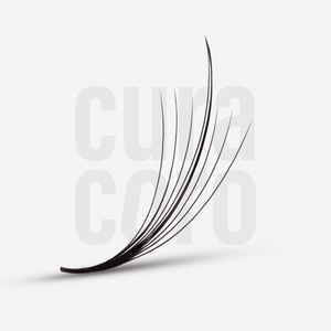 Bouquets Préfaits Étroits Wispy | LashFolio 7D 0.05 (432 éventails de cils)
