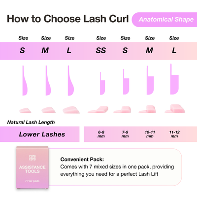 How to choose lash curl anatomical shape sizes