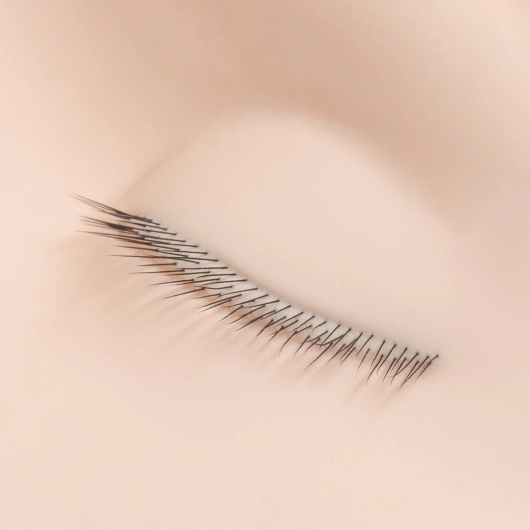 Close-up of multi-layered eyelash extensions applied to a mannequin's eye, showcasing lash training precision.