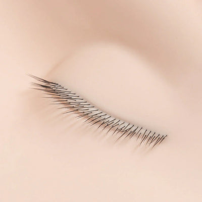 Close-up of multi-layered eyelash extensions applied to a mannequin's eye, showcasing lash training precision.