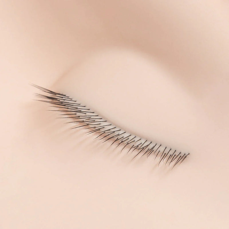 Close-up of multi-layered eyelash extensions applied to a mannequin&