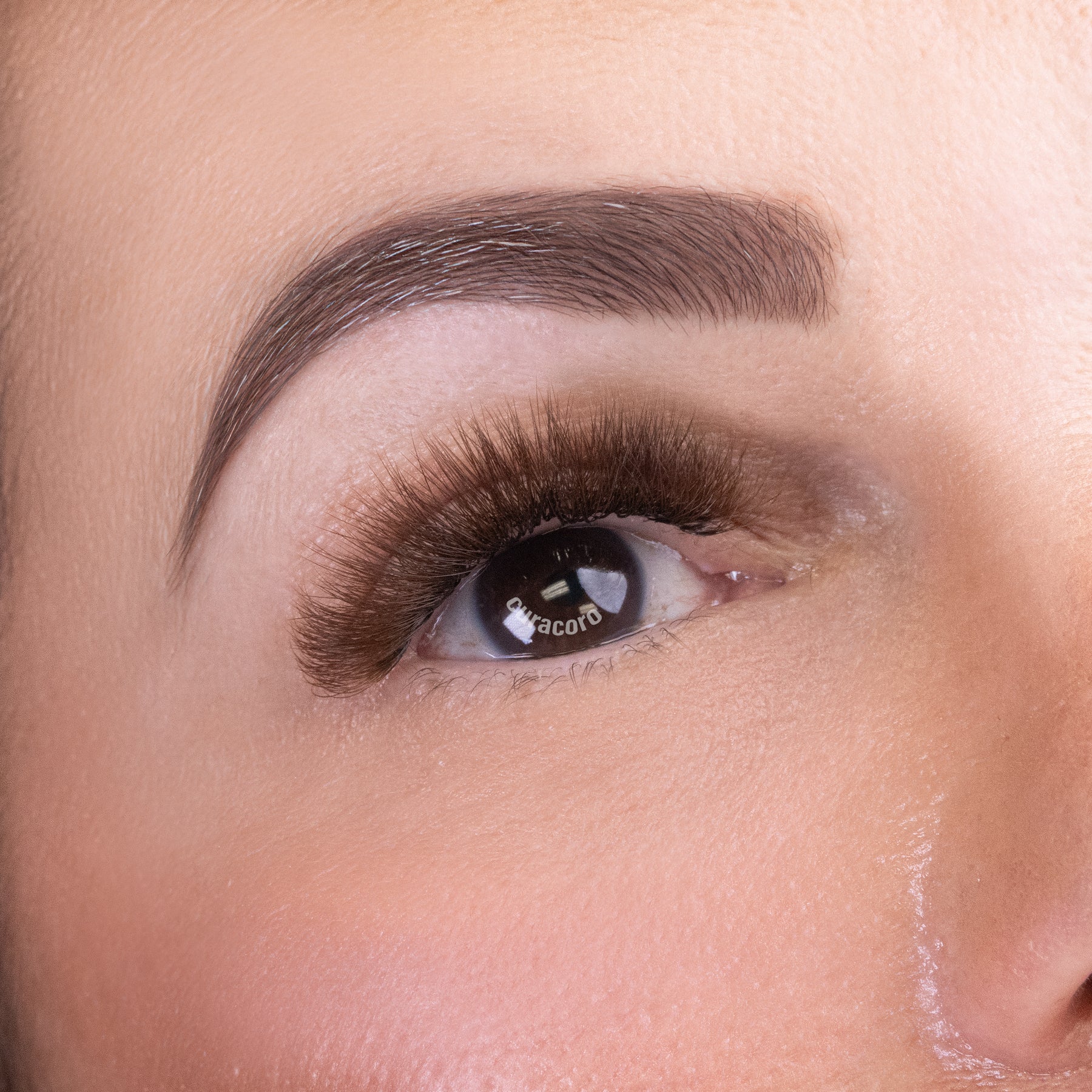 Chocolate Brown Lashfolio Narrow Promade Fans 5D (504 bouquets)