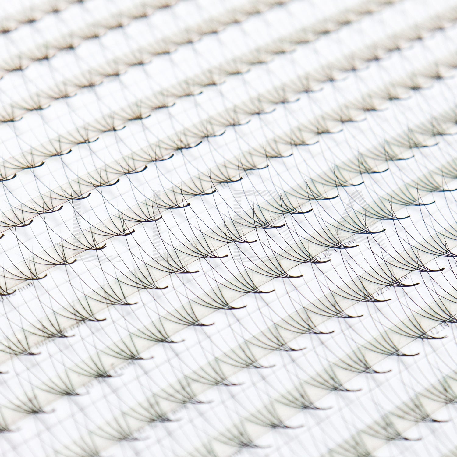 XL promade trays | Camellia mix tray 5D 0.07