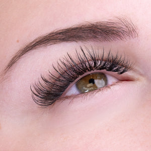 Bouquets Préfaits Promade XL Lite Wispy 11D 0.03 (330 éventails de cils)