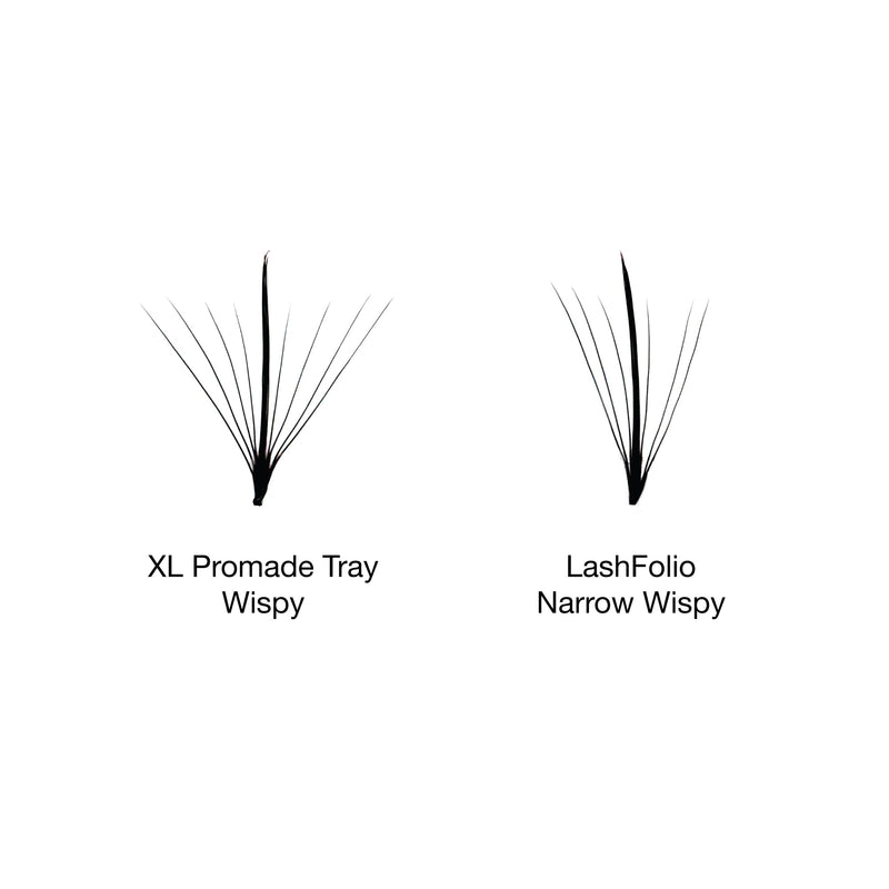 Comparison between XL Promade Tray Wispy and LashFolio Narrow Wispy