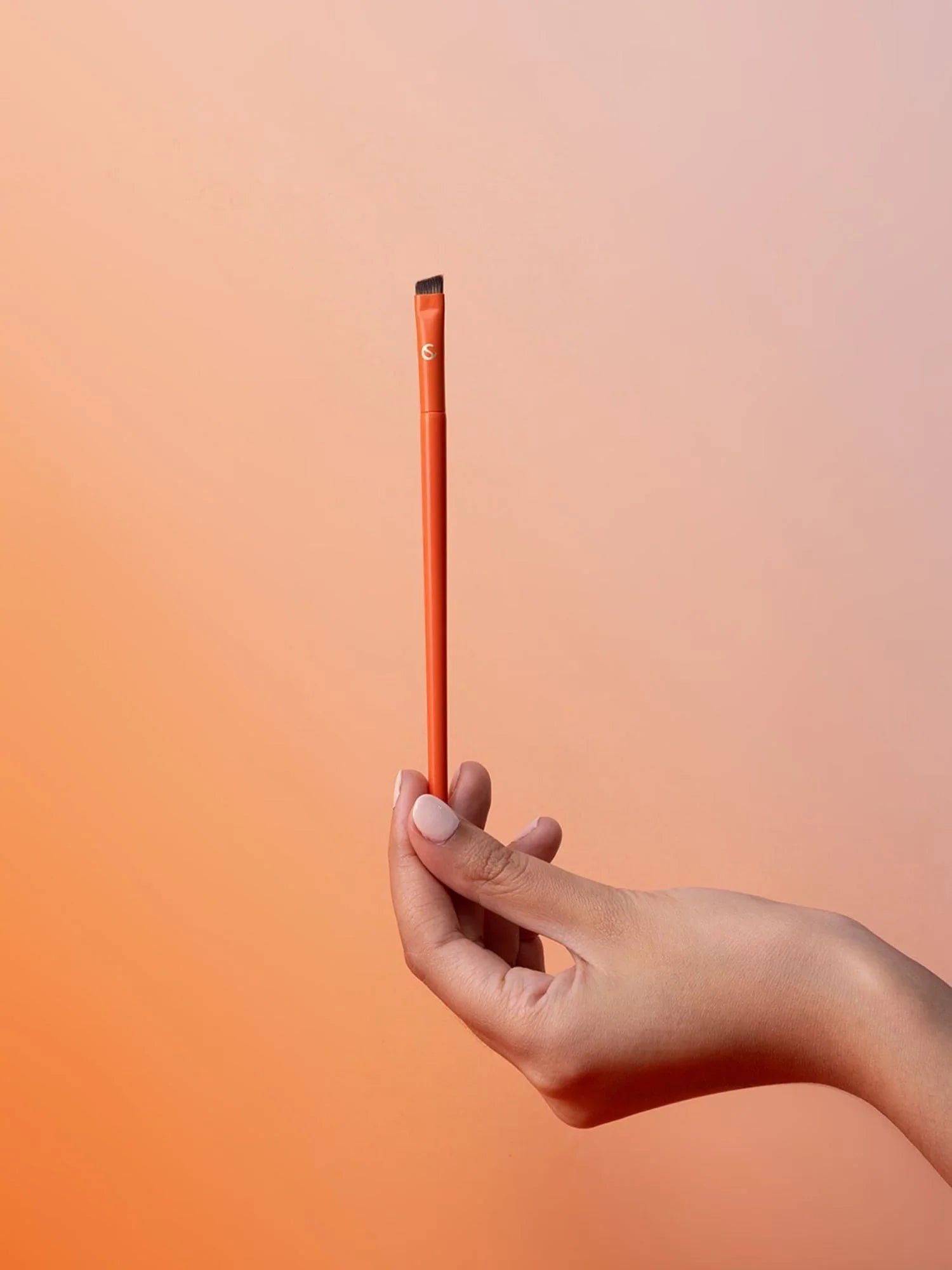 Supercilium Brosse Biseauté – Moyen format